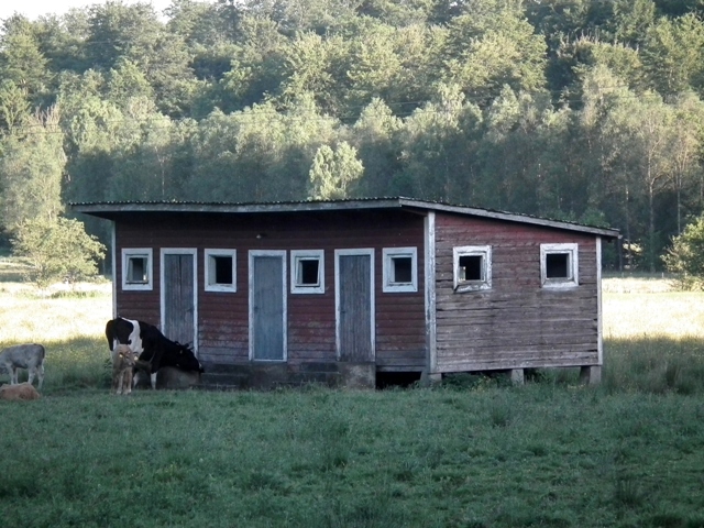 whi roddinge ip 01