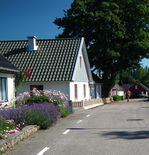 wvan roddinge 01